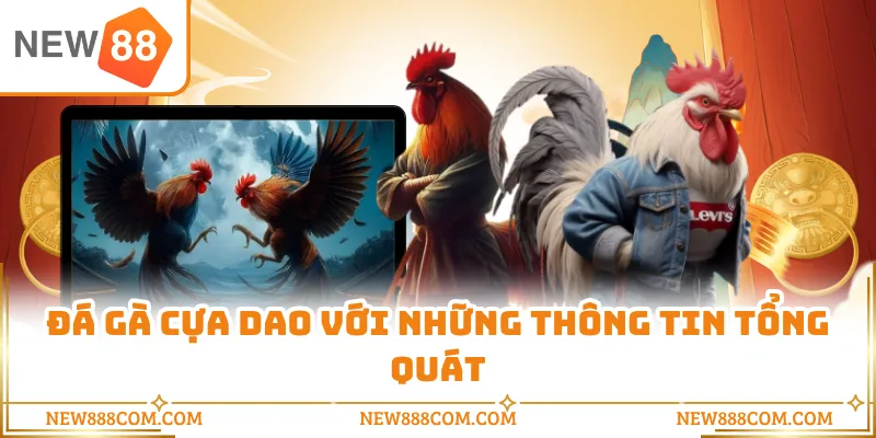 Đá gà cựa dao với những thông tin tổng quát Đá gà cựa dao với những thông tin tổng quát