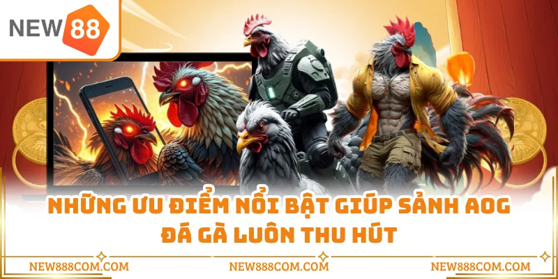 Những ưu điểm nổi bật giúp sảnh AOG đá gà luôn thu hút Những ưu điểm nổi bật giúp sảnh AOG đá gà luôn thu hút